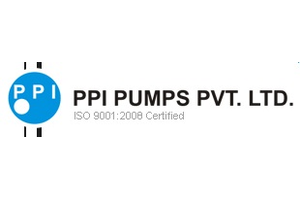 ppi 300x200
